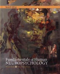 Produktbild: Kolb, B: Fundamentals of Human Neuropsychology