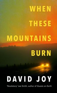 Produktbild: Joy, D: When These Mountains Burn