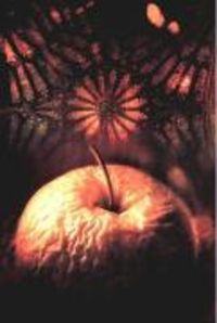 Produktbild: Equinox