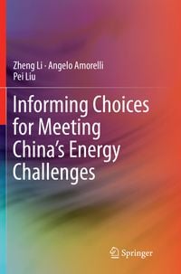 Produktbild: Informing Choices for Meeting China&rsquo;s Energy Challenges