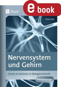 Produktbild: Nervensystem und Gehirn