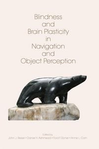 Produktbild: Blindness and Brain Plasticity in Navigation and Object Perception