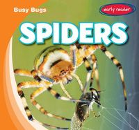 Produktbild: Busy Bugs Spiders