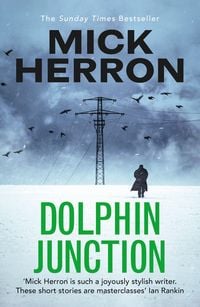 Produktbild: Dolphin Junction