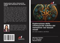 Produktbild: Esplorazione della citotossicit&agrave; indotta dal nanosilver nei tessuti renali