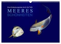 Produktbild: Meeres Sch&ouml;nheiten (Wandkalender 2026 DIN A3 quer), CALVENDO Monatskalender