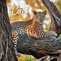 Produktbild Big Cats 2027