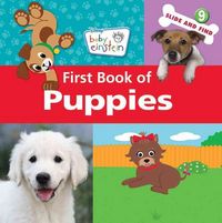 Produktbild: Baby Einstein Fbo Puppie-Board