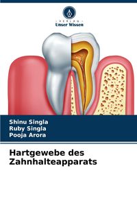 Produktbild: Hartgewebe des Zahnhalteapparats