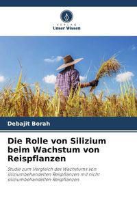 Produktbild: Die Rolle von Silizium beim Wachstum von Reispflanzen