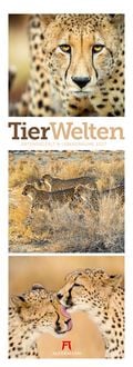 Produktbild: Tierwelten Triplet-Kalender 2027 | Artenvielfalt & Lebensr&auml;ume