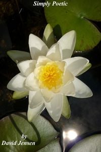 Produktbild: Simply Poetic