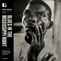 Produktbild: Blues in the Mississippi Night