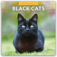 Produktbild: Black Cats &ndash; Schwarze Katzen 2027 &ndash; 16-Monatskalender