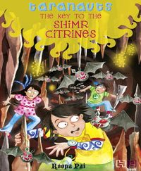 Produktbild: The Key to Shimr Citrines