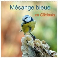 Produktbild: M&eacute;sange bleue en G&acirc;tinais (Calendrier mural carr&eacute; 2027 30x30 cm) Calendrier double avec une page pour vos prises de notes