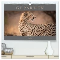 Produktbild: Geparden - Die Sch&ouml;nheiten Afrikas (hochwertiger Premium Wandkalender 2026 DIN A2 quer), Kunstdruck in Hochglanz