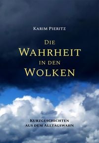 Produktbild: Die Wahrheit in den Wolken - Kurzgeschichten aus dem Alltagswahn