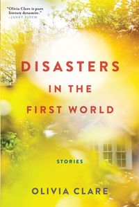 Bild vom Artikel Disasters in the First World: Stories vom Autor Olivia Clare