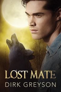 Produktbild: Lost Mate