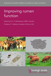 Produktbild: Improving rumen function