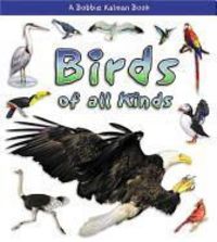 Produktbild: Birds of All Kinds