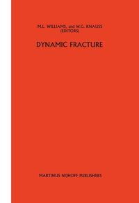Produktbild: Dynamic fracture