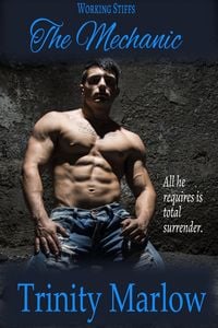 Produktbild: The Mechanic (Working Stiffs, #3)