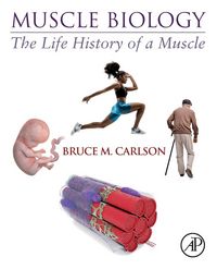 Produktbild: Muscle Biology