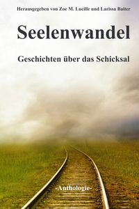 Produktbild: Seelenwandel