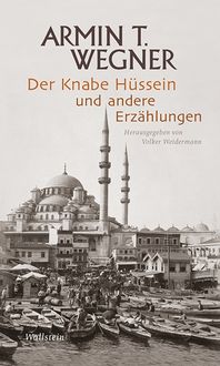 Bild vom Artikel Der Knabe Hüssein und andere Erzählungen vom Autor Armin T. Wegner