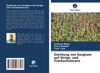 Produktbild: Z&uuml;chtung von Sorghum auf Striga- und Trockentoleranz