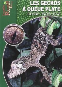 Produktbild: Geckos a queue plate le genre