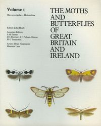 Produktbild: Micropterigidae - Heliozelidae