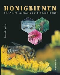 Produktbild: Honigbienen