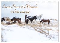 Produktbild: Saint-Pierre et Miquelon &agrave; l'&eacute;tat sauvage (Calendrier mural 2026 DIN A3 vertical), CALVENDO calendrier mensuel