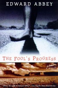 Produktbild: The Fool's Progress