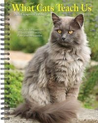 Produktbild: What Cats Teach Us 2026 Engagement Calendar