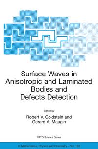 Produktbild: Surface Waves in Anisotropic and Laminated Bodies and Defects Detection