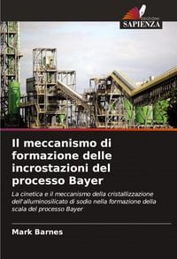 Produktbild: Il meccanismo di formazione delle incrostazioni del processo Bayer