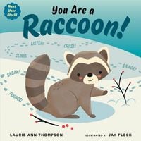 Produktbild: You Are a Raccoon!
