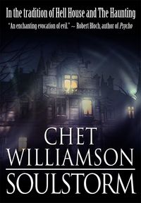 Produktbild: Soulstorm