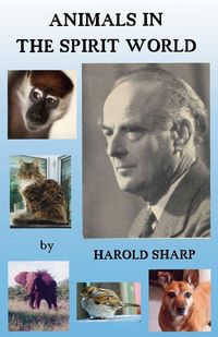 Produktbild: Animals in the Spirit World