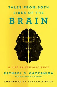 Produktbild: Tales from Both Sides of the Brain