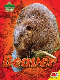 Produktbild: Beaver