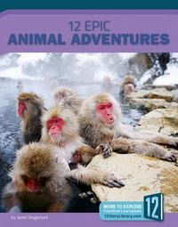 Produktbild: 12 Epic Animal Adventures