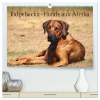 Produktbild: Ridgebacks - Hunde aus Afrika (hochwertiger Premium Wandkalender 2027 DIN A2 quer), Kunstdruck in Hochglanz