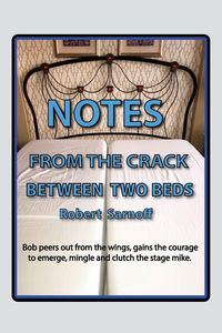 Produktbild: NOTES FROM THE CRACK BETWEEN TWO BEDS