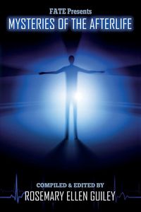 Produktbild: Mysteries of the Afterlife