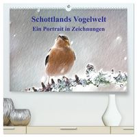 Produktbild: Schottlands Vogelwelt - Ein Portr&auml;t in Zeichnungen (hochwertiger Premium Wandkalender 2026 DIN A2 quer), Kunstdruck in Hochglanz